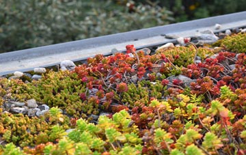 the cost of Darvel green roof installation