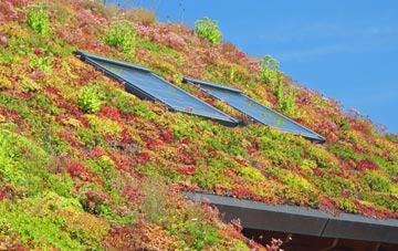 Darvel living roof systems