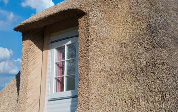 Darvel thatch roof disadvantages