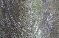 Darvel fibreglass roof work